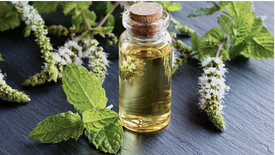 SheaLux Specialty Beard Oils - Serene Mint Fusion (m) (Cedarwood/Tea Tree/Peppermint/Lavender)