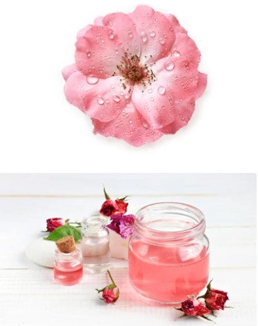 Rose Water Body Butter - Refreshing! (W)