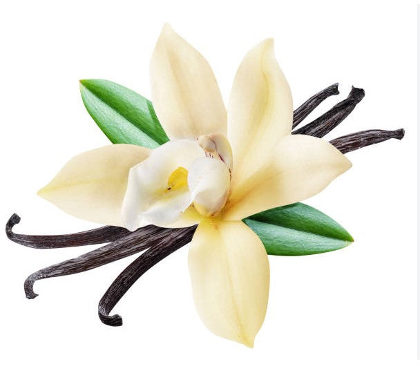 Vanilla Body Butter - Light and Sensuous Fragrance (w)